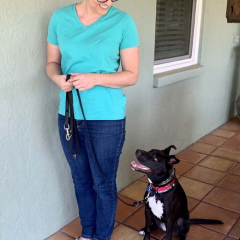 dog-trainer-coastal-mateo-county-12